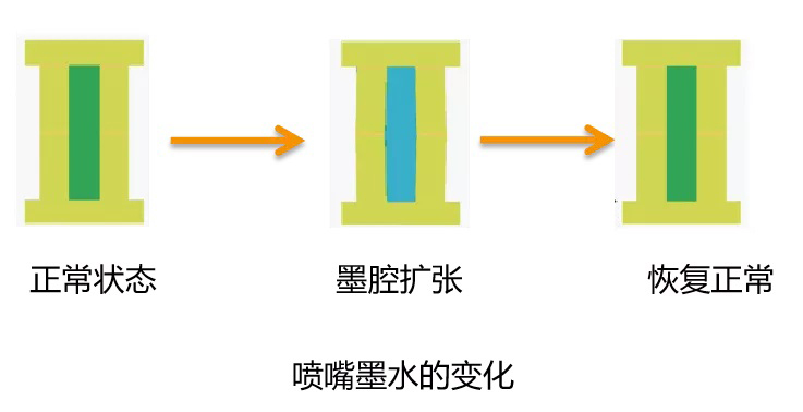 一篇看懂什么是RIP軟件、板卡、波形